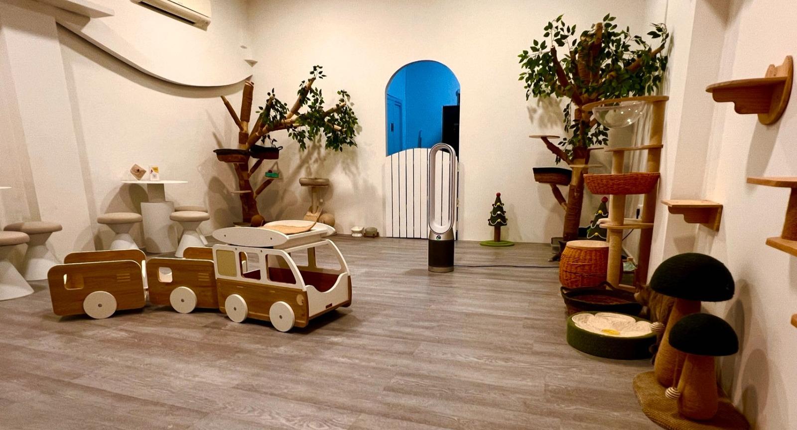 Gem Cat Cafe photo 4