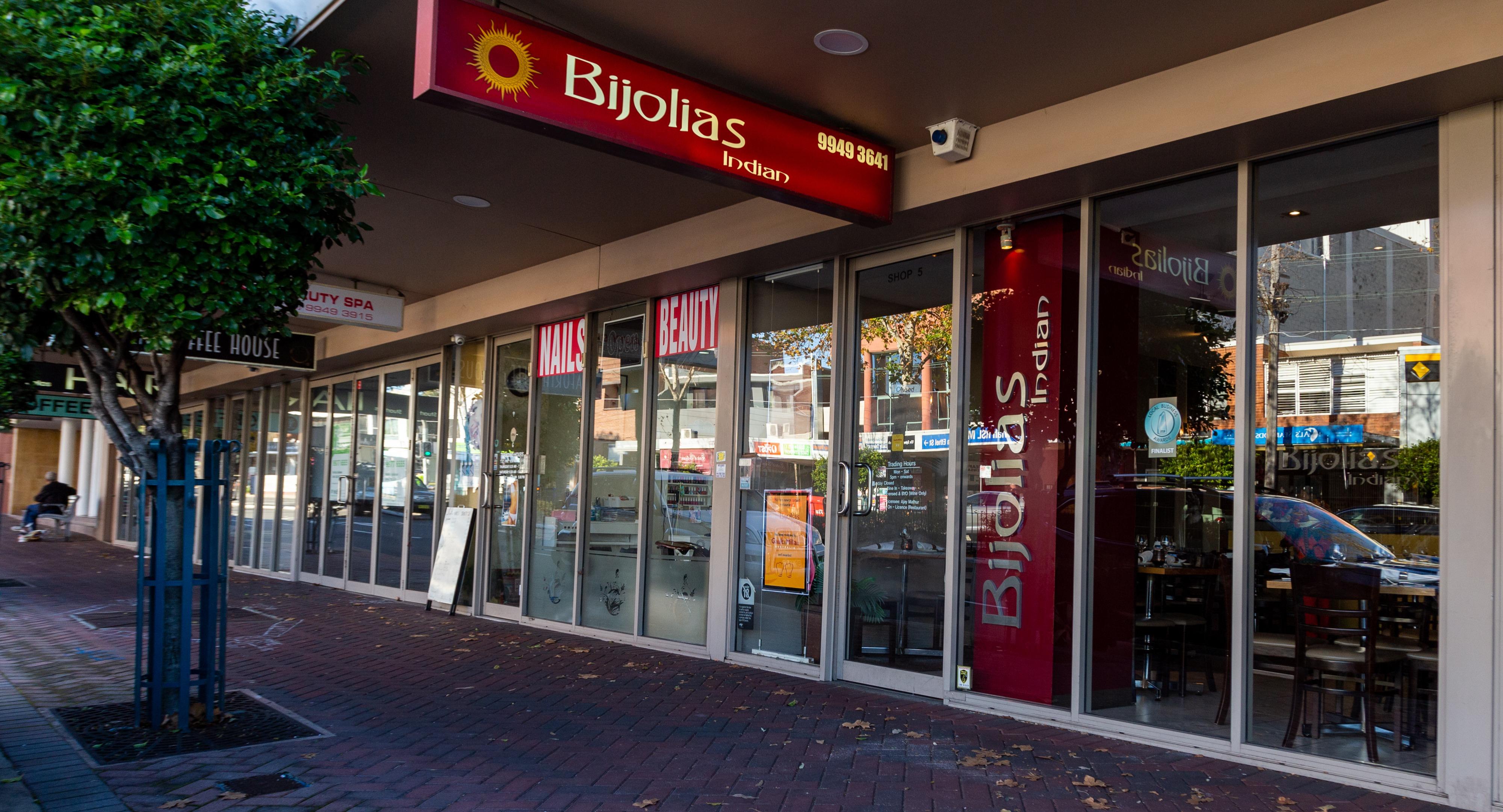 Bijolias Indian photo 3