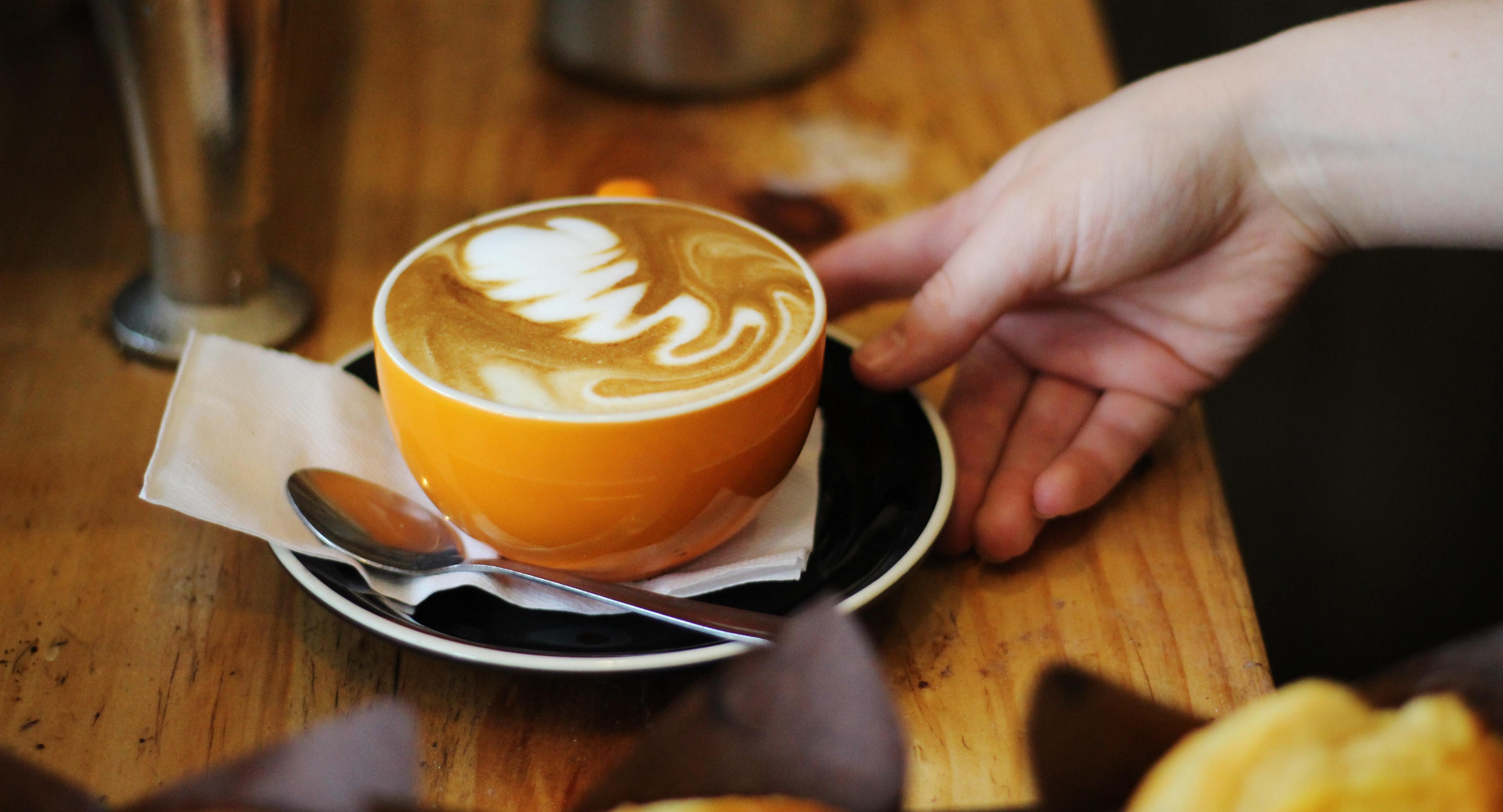 Beans Republique Glen Iris photo 2