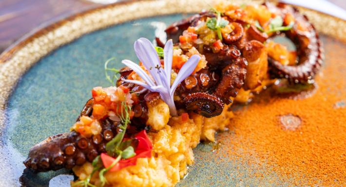 Serre Torrigiani photo 3