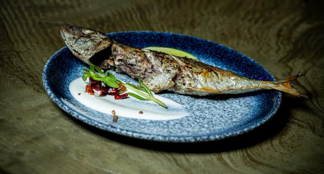 Saiko Robata photo 4