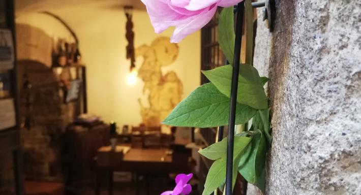 Le Streghe Ubriache photo 2