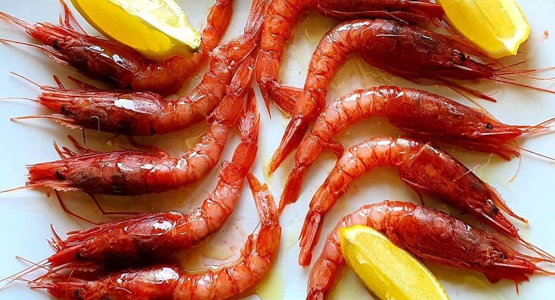 Ristorante Terra di Siena photo 5