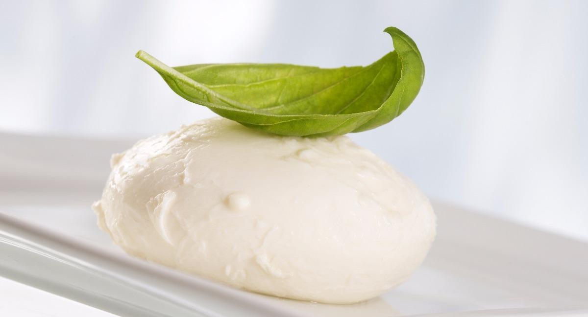 Il Tulipano Nero photo 4