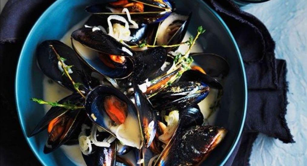 Lazy Lizard - NEWest photo 2