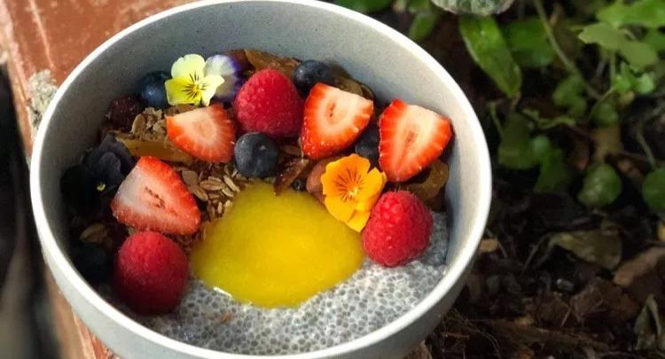 The South Corner photo 2