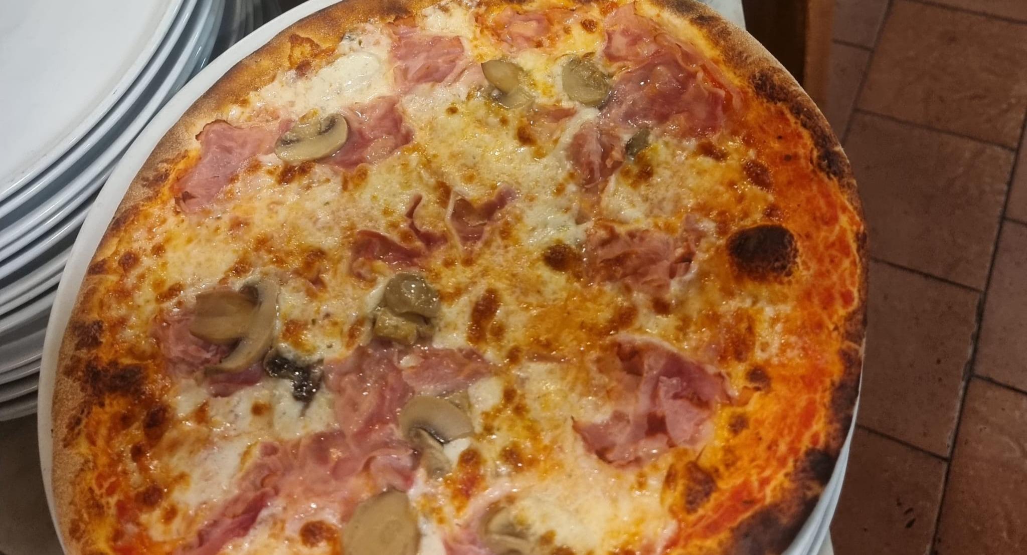 L'arca di Noè photo 5