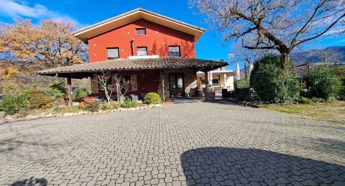 La Cicala e La Fenice photo 3