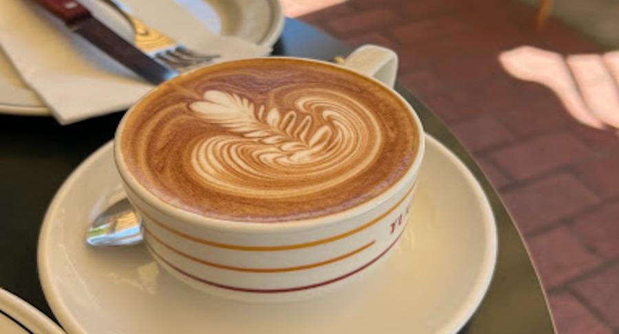 Yuca Melbourne photo 5