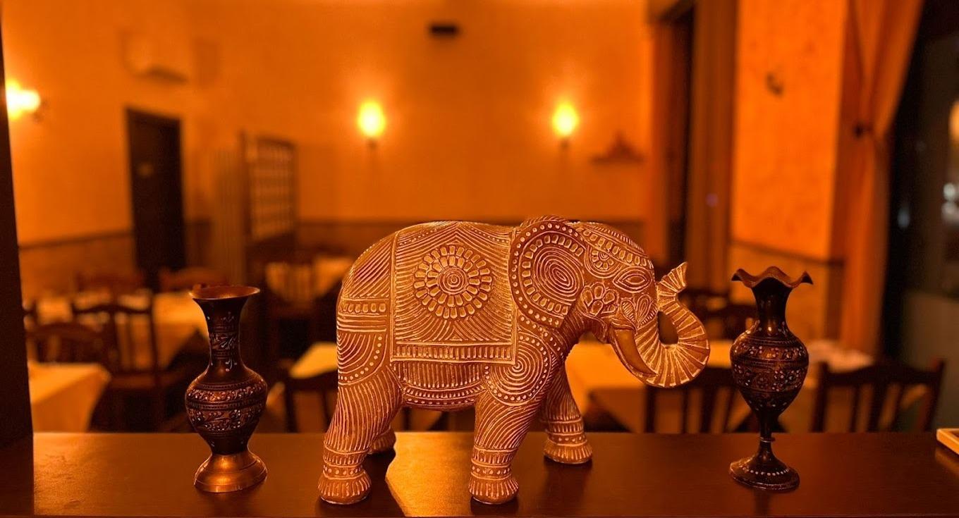 Kiran Bicocca photo 3