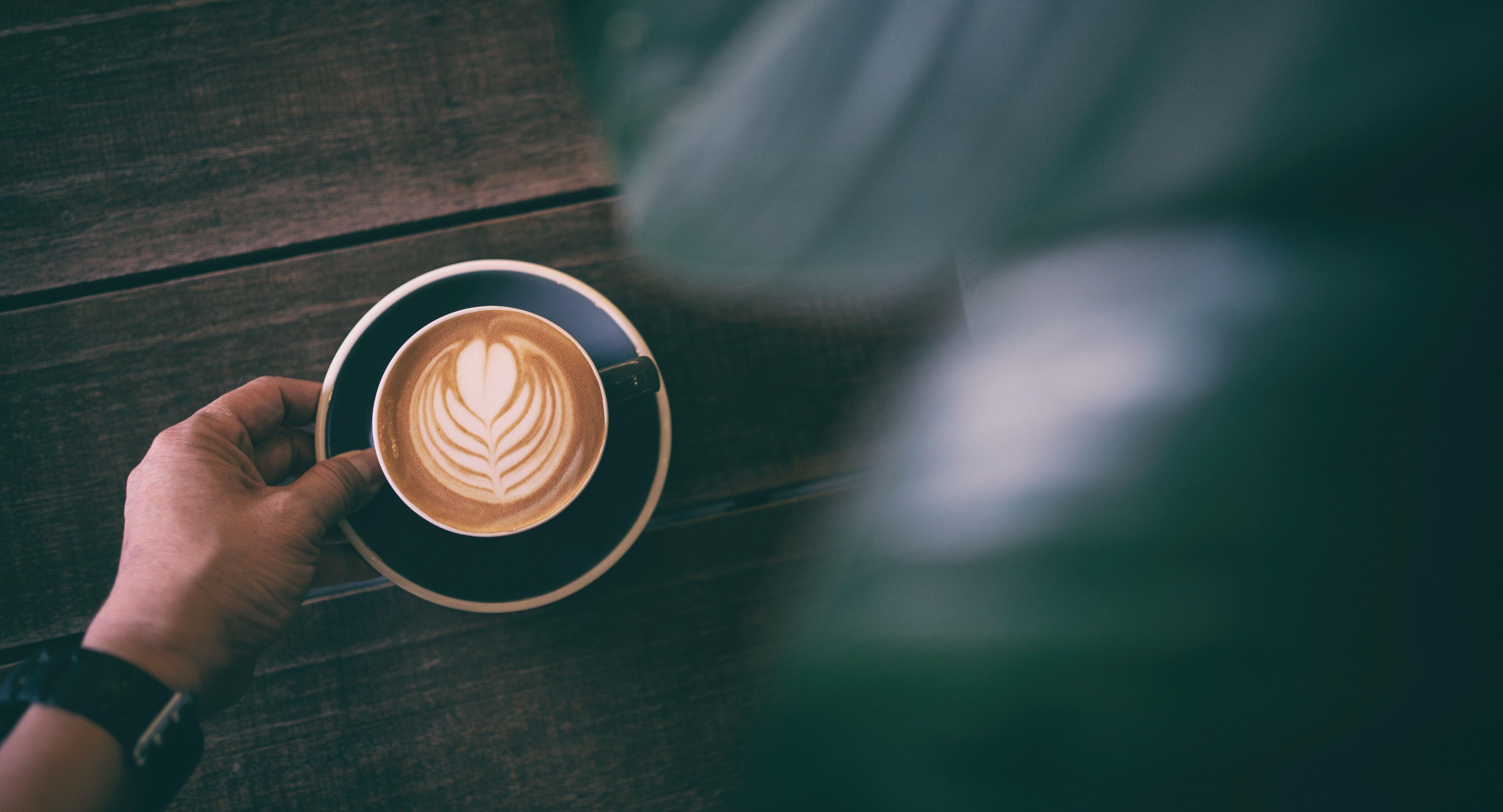 Dutch Colony Coffee Co. - New Tech Park photo 2