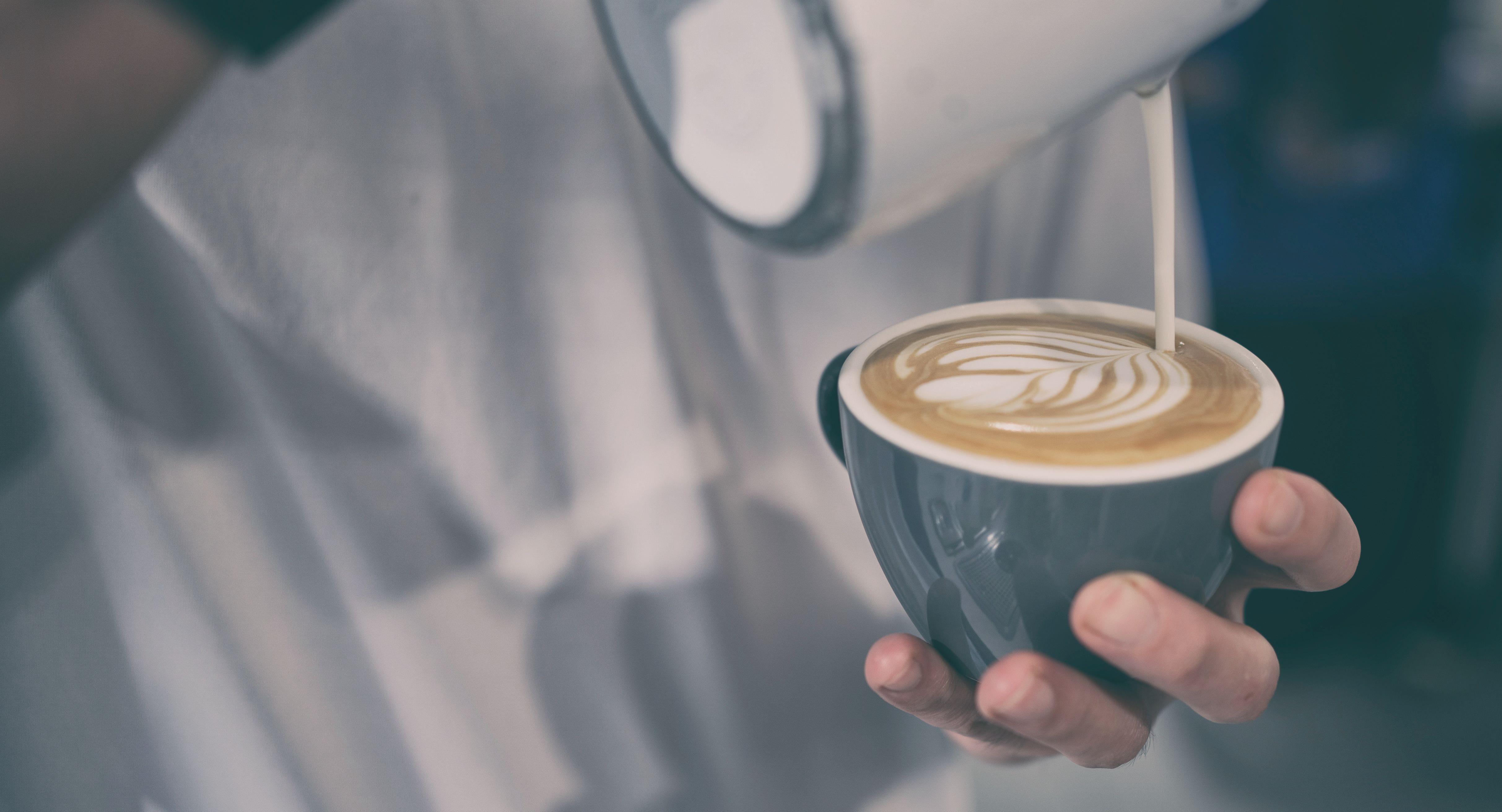 Dutch Colony Coffee Co. - New Tech Park photo 4