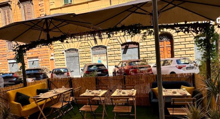 Arborvitae Bistrot photo 3