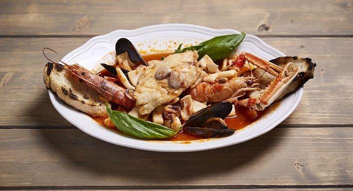 Firenze Nova photo 2