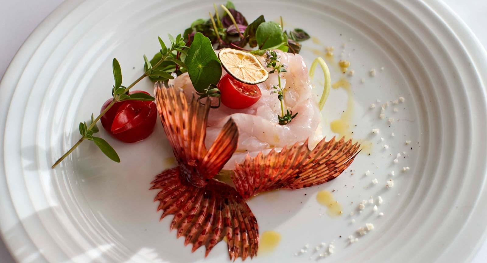 Graecalis - Ristorante di pesce photo 5