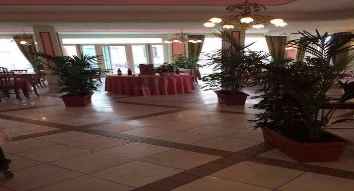 Ristorante Le Camelie photo 2