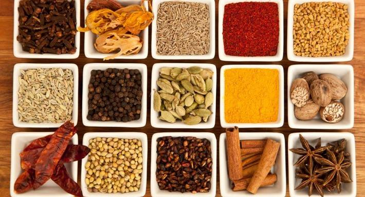 Spice India Gandhi Florence photo 2